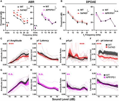 Corrigendum: Increased central auditory gain in 5xFAD Alzheimer's disease mice as an early biomarker candidate for Alzheimer's disease diagnosis